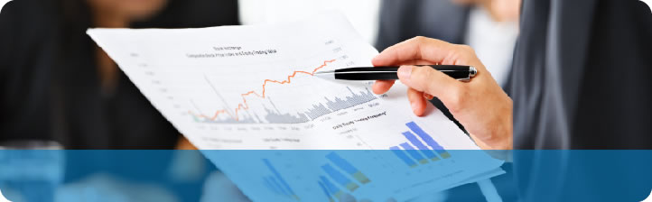 Cut costs, increase revenues, optimize cash flow.